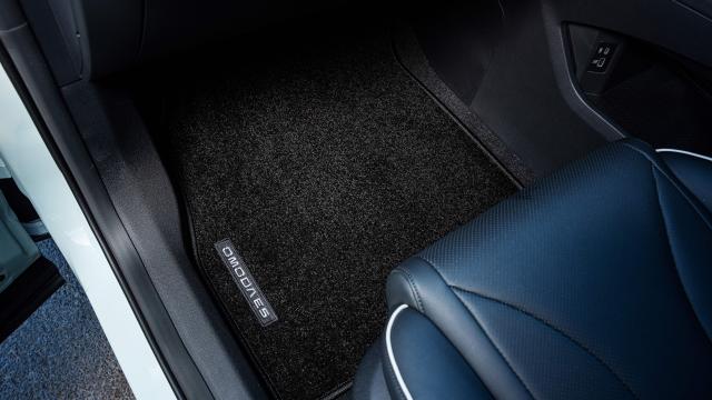 1) Floor Mats - Carpet (OE5)_0.jpg