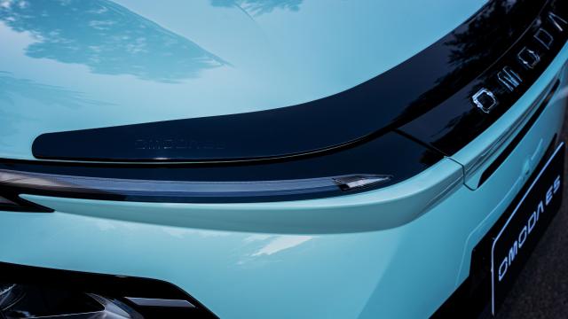 8) Bonnet Protector - Tinted (OE5).jpg