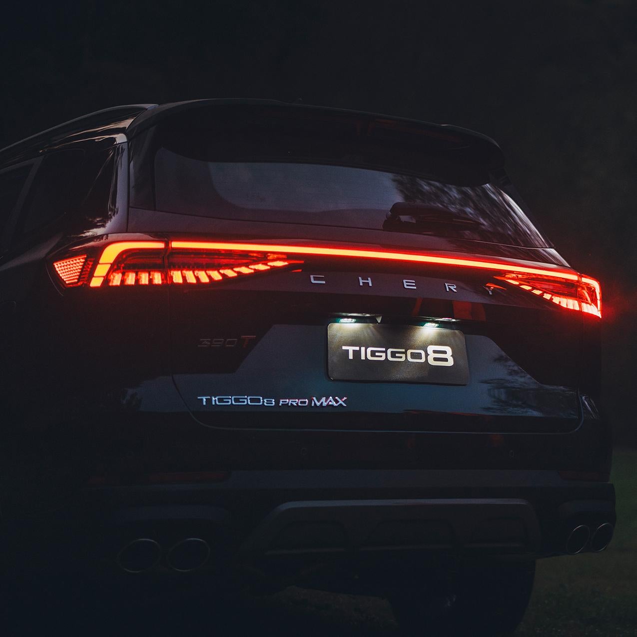 T8-back