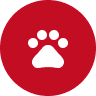 Paw